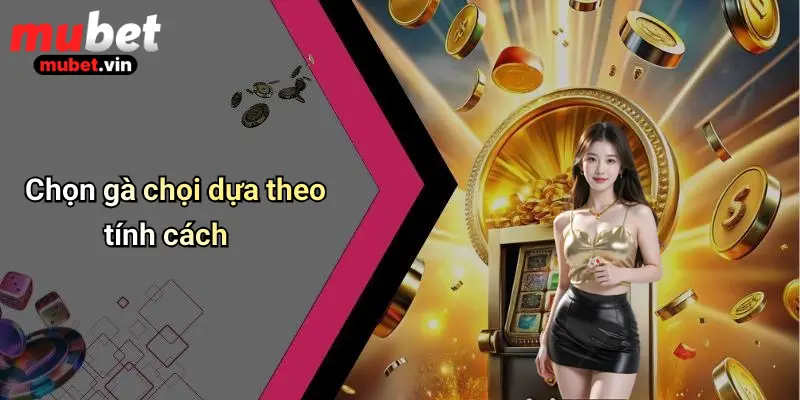 Chọn gà chọi dựa theo tính cách